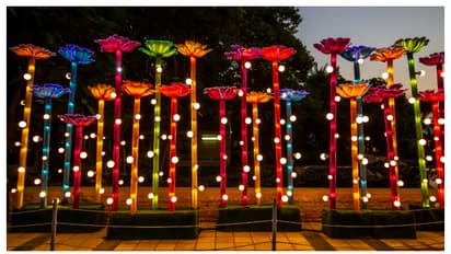 വിനോദസഞ്ചാരികളുടെ ഇഷ്ട സ്ഥലം, ദുബൈയിലെ പ്രധാന ആകർഷണം 10 വ‍ർഷത്തിന് ശേഷം അടച്ചു, ഇനി പുതിയ ഇടം