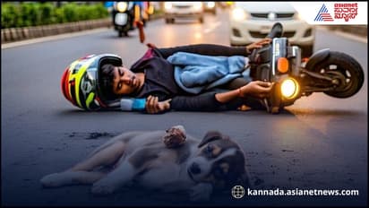 ಸಾಕುನಾಯಿ ಕರೆದೊಯ್ಯುತ್ತಿದ್ದ ದ್ವಿಚಕ್ರ ವಾಹನ ಬಿದ್ದು ಸವಾರ ಸಾವು