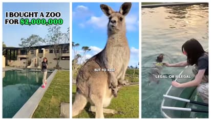 'കൈയില് കാശുണ്ടോ എല്ലാം നിയമപരം'; കൈക്കൂലി നൽകി സ്വന്തം വീട്ടില് 17 കോടിക്ക് മൃഗശാല പണിതു; കേസ്