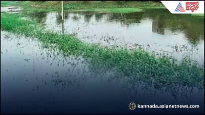 ಬಿರು ಬೇಸಿಗೆಗೆ ಕೆರೆ, ಜಲಾಶಯ ಖಾಲಿ ಖಾಲಿ : ರಾಜ್ಯದ 17,000 ಕೆರೆಗಳಲ್ಲಿ ಶೇ.30ಕ್ಕಿಂತ ಕಡಿಮೆ ನೀರು!