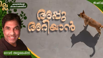 Malayalam Short Story: അപ്പു അറിയാന്‍, ദേവന്‍ അയ്യങ്കേരില്‍ എഴുതിയ ചെറുകഥ