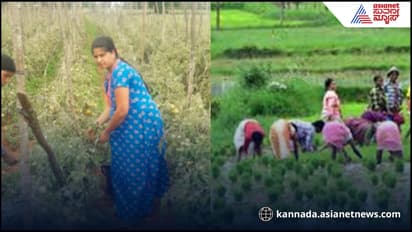 ಕೃಷಿ ಮಾಡಿಕೊಂಡೇ ₹15 ಲಕ್ಷ ಗಳಿಸ್ತಾರೆ ಈ ದಂಪತಿ! ನೀವು ರೈತರೇ? ಆಸಕ್ತಿ ಇದ್ದರೆ ಸಂಪರ್ಕಿಸಿ ಇಲ್ಲಿದೆ ನಂಬರ್!