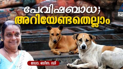 ' 90% പേവിഷബാധയും ഉണ്ടാകുന്നത് നായ്ക്കൾ മുഖേന' ; പേവിഷബാധ : മുൻകരുതലും ലക്ഷണങ്ങളും 