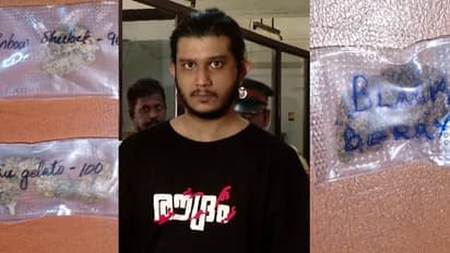 ബ്ലാക്ക്ബെറി, റെയിൻബോ, കോപ്പർ! വല്ലാത്തൊരു ഹോബി, ലഹരി ഉപയോഗവും ഹൈബ്രിഡ് കഞ്ചാവ് കളക്ഷനും, യുവാവ് പിടിയിൽ