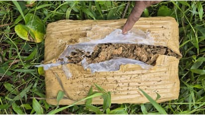 പൊലീസിനെ കണ്ട് ഉപേക്ഷിച്ചതോ? കോഴിക്കോട് രാമനാട്ടുകരയിൽ റോഡിനോട് ചേർന്നുള്ള ഒഴിഞ്ഞ പറമ്പിൽ കണ്ടെത്തിയത് കഞ്ചാവ്