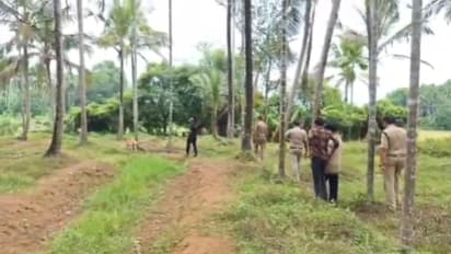 'കുളിച്ചിറങ്ങിയപ്പോൾ ആരോ ഒരാൾ ഷെൽഫിൽ പരതുന്നു', മാസ്ക് ധരിച്ച് പിൻവാതിൽ വഴി കയറി വയോധികയെ ആക്രമിച്ച് കവര്ച്ച