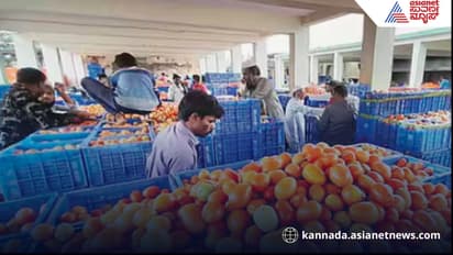 'ನಮಗೆ ನಷ್ಟವಾದ್ರೂ ಚಿಂತೆಯಿಲ್ಲ; ಒಂದು ಟೊಮೆಟೋ ಕಳಿಸೋಲ್ಲ' : ಪಾಕ್ಗೆ ಕೋಲಾರ ರೈತರಿಂದ ಬಿಗ್ ಶಾಕ್!