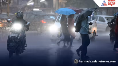 Yellow alert : ಮೈಸೂರು, ಕೊಡಗು ಸೇರಿ 4 ಜಿಲ್ಲೆಗಳಲ್ಲಿ ಇಂದು ಭಾರೀ ಮಳೆ!