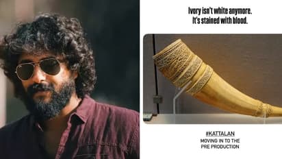 ആനക്കൊമ്പ് വേട്ടയുടെ കഥയോ 'കാട്ടാളൻ'; പ്രീ പ്രൊഡക്ഷന് തുടക്കം