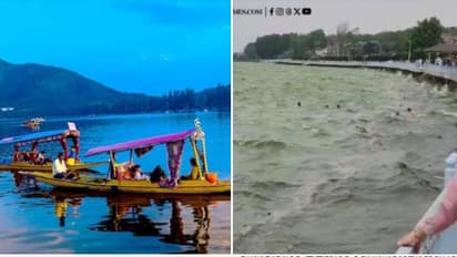 தால் ஏரியில் படகு கவிழ்ந்து விபத்து.! உயிருக்கு போராடிய சுற்றுலா பயணிகள்- வெளியான ஷாக் வீடியோ