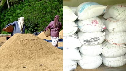 നെൽകര്‍ഷകരെ സഹായിക്കാൻ സര്‍ക്കാര്‍ ഏര്‍പ്പെടുത്തിയ പിആർഎസ് വായ്പ സംവിധാനം, നിലച്ചിട്ട് 2 മാസം