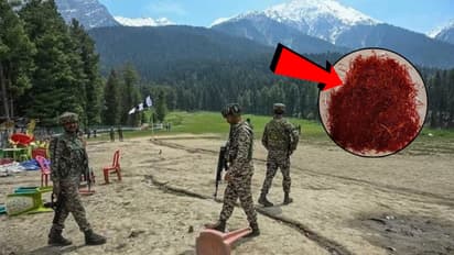 pahalgam attack effect lal masala price surge jaipur kesar price 2 lakh per kg