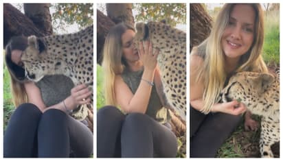 ചീറ്റയെ കെട്ടിപ്പിടിച്ച് ചുംബിച്ച് യുവതി; അല്പം ഭയം ഒക്കെ ആകാമെന്ന് സോഷ്യൽ മീഡിയ