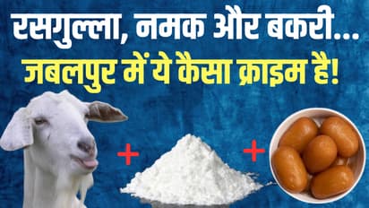 mp crime news jabalpur bizarre thefts rasgulla goat salt bns 303