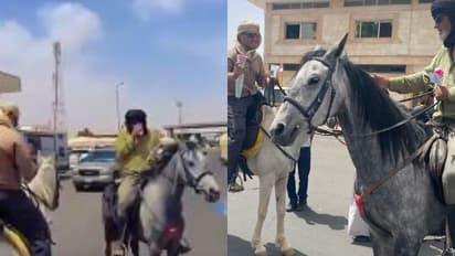 ഹജ്ജിന് തീർത്ഥാടകർ എത്തിയത് കുതിരപ്പുറത്ത്, ഊഷ്മള വരവേൽപ്പൊരുക്കി സൗദി പ്രാദേശിക ഭരണകൂടം  