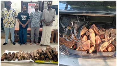 ഫോർഡ് ഫിയസ്റ്റ കാറിൽ 75 കിലോയുടെ മുതൽ, വിൽപ്പനക്കിടെ വലയിലായി; പിടികൂടിയത് അസ്സൽ ചന്ദനത്തടികൾ