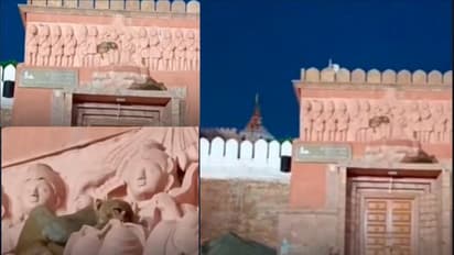 ಬೇರೆ ಜಾಗವಿದ್ದರೂ ರಾಮನ ಮಡಿಲಲ್ಲೇ ಮಗುವಿನಂತೆ ನಿದ್ರಿಸಿದ ಹನುಮ : ವೀಡಿಯೋ ವೈರಲ್ 