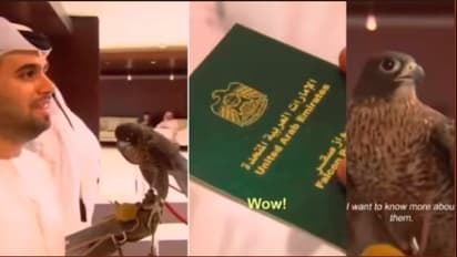 ಸ್ವಂತ ಪಾಸ್‌ಪೋರ್ಟ್ ಹೊಂದಿರುವ ರಣಹದ್ದು : ಹಲವು ದೇಶಗಳಿಗೆ ವಿಮಾನದಲ್ಲಿ ಪಯಣ