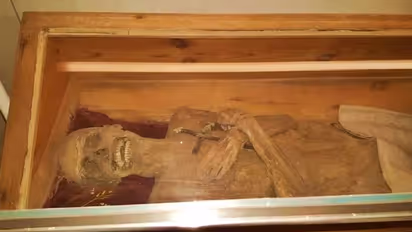 ഗവേഷകര് പോലും അമ്പരന്നു, 279 വർഷം പഴക്കം, മുകള്ഭാഗം ജീര്ണ്ണിച്ചേയില്ല? മമ്മി കണ്ടെത്തിയത് ഓസ്ട്രിയയിൽ