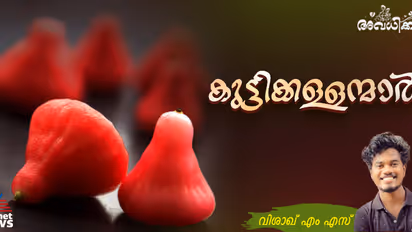 'ചോര...അമ്മൂനെ ചാത്തന്‍ പിടിച്ചെടാ...' ഞങ്ങള്‍ ഓടിയെത്തിയപ്പോള്‍ കണ്ടത് നിലത്താകെ ചോരത്തുള്ളികള്‍... 