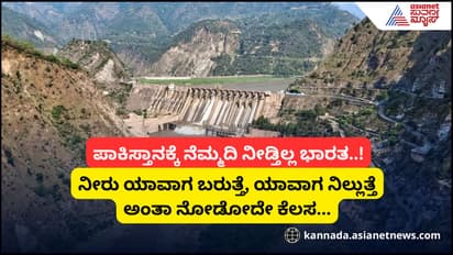 ಸೂಚನೆ ನೀಡದೇ ಮತ್ತೊಮ್ಮೆ ಪಾಕ್‌ಗೆ ನೀರು ಬಿಟ್ಟ ಭಾರತ; ಸಿಯಾಲ್‌ಕೋಟ್‌, ಕ್ವಾದಿರಾಬಾದ್‌ಗೆ ಪ್ರವಾಹದ ಅಲರ್ಟ್‌!