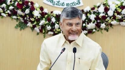 Amaravati: 137 పోస్టులకు గ్రీన్ సిగ్నల్.. ప్రతి నియోజకవర్గంలో బాలాజీ ఆలయం.. ఏపీ సర్కారు కీలక నిర్ణయాలు