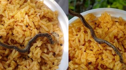 கோவிலில் விற்பனை செய்த பிரசாதத்தில் பாம்பு! பக்தர்கள் அதிர்ச்சி! இறுதியில் நடந்தது என்ன?