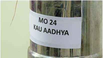 പുണ്യ, ആദ്യ! 18 വർഷത്തെ ഗവേഷണത്തിനൊടുവിൽ മങ്കൊമ്പ് ഗവേഷണ കേന്ദ്രത്തിന് സന്തോഷം! അത്യുത്പാദന നെൽവിത്തുകൾ റെഡി