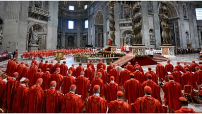 2 മലയാളികളടക്കം 133 കർദിനാൾമാർ, വെളുത്ത പുക കാണാനായി ലോകം ഉറ്റുനോക്കുന്നു; ഫ്രാൻസിസ് പാപ്പയുടെ പിൻഗാമി ആരാകും