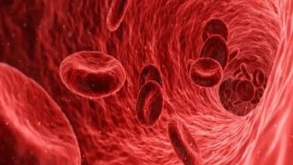 World Thalassemia day