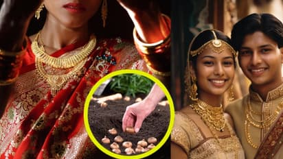 ಮನೆಯಲ್ಲೇ 1kg ಈ ಬೆಳೆ ಬೆಳೆಯಿರಿ; 50 ಗ್ರಾಂ ಚಿನ್ನ ಖರೀದಿ ಮಾಡೋವಷ್ಟು ದುಡ್ಡು ಮಾಡಿ! ಸಿಂಪಲ್‌ ವಿಧಾನಗಳಿವು