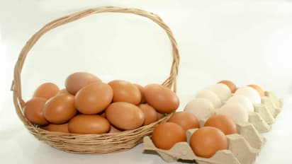 தலைமுடியை வேகமாக வளர வைக்கும் 5 சூப்பர் உணவுகள்