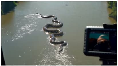 എഐയോ, യഥാര്ത്ഥമോ? നദിയിലൂടെ നീന്തുന്ന കൂറ്റന് അനാക്കോണ്ടയുടെ വീഡിയോ വൈറൽ