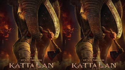 ആനയും മനുഷ്യനും മുഖാമുഖം: ആനക്കൊമ്പ് കൈയ്യിലേറി പെപ്പെ; 'കാട്ടാള'ന്റെ പുതിയ പോസ്റ്റർ!