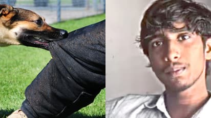  വളർത്ത് നായയുടെ നഖം കൊണ്ട് പോറി, വാക്സിനെടുത്തില്ല; ആലപ്പുഴയിൽ പേവിഷ ബാധയേറ്റ് 17 കാരൻ മരിച്ചു