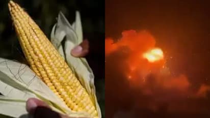 സംഘർഷത്തിനിടയിൽ കരിഞ്ചന്തയും പൂഴ്ത്തിവെപ്പും പാടില്ല; ക്ഷാമമുണ്ടാവാതിരിക്കാൻ കർശന നിർദേശം നൽകി സർക്കാർ