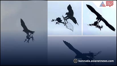 ಹದ್ದುಗಳಿಂದ ವೈರಿ ದೇಶದ ಡ್ರೋನ್​ಗಳ ಬೇಟೆ- ಆಕಾಶದಲ್ಲೇ  ಉಡೀಸ್​: ರೋಚಕ ವಿಡಿಯೋ ವೈರಲ್​  