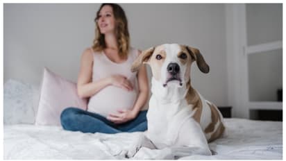 അഞ്ച് മാസം ഗർഭിണിയായ സ്ത്രീയിൽ ടേപ്പ് വേം സിസ്റ്റ്, കാരണക്കാരൻ വളർത്ത് നായയെന്ന് വിദഗ്ദർ