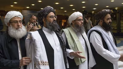 तालिबानने फेटाळले पाकिस्तानी सैन्याचे दावे, पाकची नाचक्की