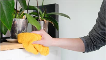 വീട്ടുജോലിക്കാരെ പെട്ടെന്ന് ഒരു ദിവസം കാണാതായി, ഫോണുകൾ ഓഫ്; പരിശോധനയിൽ ട്വിസ്റ്റ്! വിലയേറിയ പലതും നഷ്ടമായി