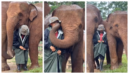 'വിഷമിക്കേണ്ട, എല്ലാം ശരിയാകും'; ഇടിമിന്നലും മഴയും പാപ്പാനെ പൊതിഞ്ഞ് പിടിച്ച് ആനകൾ, വീഡിയോ വൈറല്‍ 