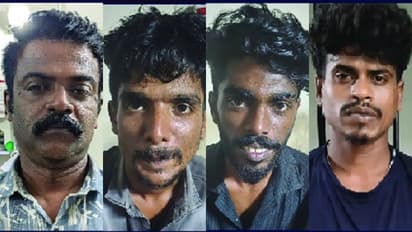 ഇടുക്കിയിൽ കൊല്ലം സ്വദേശി, കരുനാഗപ്പള്ളിയിൽ 2 പേർ, 169 പാക്കറ്റുമായി മലപ്പുറത്ത് അസംകാരൻ; വൻ കഞ്ചാവ് വേട്ട