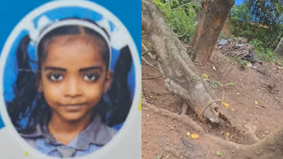 മരം ഒടിഞ്ഞു വീഴുന്ന ശബ്ദം കേട്ടു, കുഞ്ഞനുജനെ രക്ഷിക്കാൻ ഓടിയെത്തി, പക്ഷേ പെൺകുട്ടിക്ക് ദാരുണാന്ത്യം