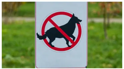 ഈ നിയമങ്ങൾ അറിയില്ലേ? നായയെ വളർത്തുമ്പോൾ നിങ്ങൾ ഇക്കാര്യങ്ങൾ അറിയാതെ പോകരുത്