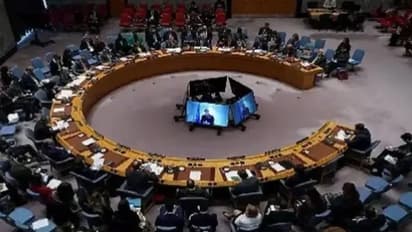 युएन समितीच्या बैठकीत भारत पाकिस्तानला घेरणार, पहलगाम हल्ल्याचे सादर करणार पुरावे