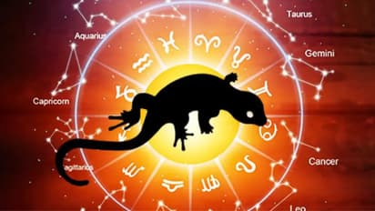 Astro remedies: ఒంటి మీద బల్లి పడితే ఏమౌతుంది?