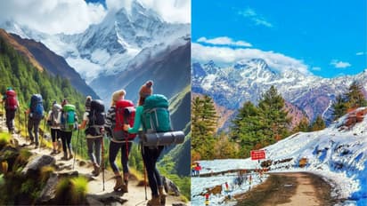 Barot Valley to Rajgundha Valley: 5 Himachal Pradesh hidden gems perfect for summer travel