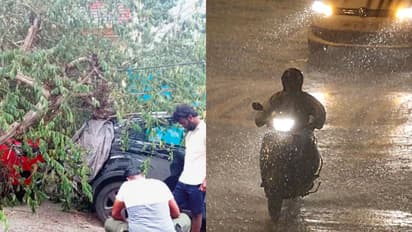 ಬೆಂಗಳೂರಿನಲ್ಲಿ ಆಲಿಕಲ್ಲು ಸಹಿತ ಭಾರಿ ಮಳೆ: 30ಕ್ಕೂ ಹೆಚ್ಚು ಮರಗಳು ಧರೆಗೆ!