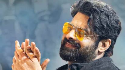 കരിയറിലെ ഏറ്റവും വലിയ പ്രതിഫലം; പ്രഭാസിന്റെ 'സ്പിരിറ്റി'ല് നായികയ്ക്ക് ലഭിക്കുന്ന തുക