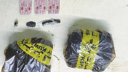 സുഹൃത്തുക്കൾക്ക് സമ്മാനം ഹാഷിഷ്, പ്രവാസിയെ കയ്യോടെ പൊക്കി, പിടിയിലായത് കുവൈത്ത് വിമാനത്താവളത്തിലെ പരിശോധനയിൽ  